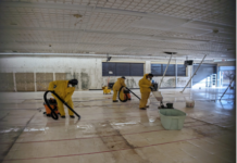 How to Fix Water Damage in Your Basement Quickly and Effectively
