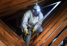 Expert Arlington Heights Mold Removal Services That Actually Work