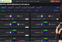 The Evolution of Football Consumption and Strategic Match Analysis in the Digital Age Understanding the Importance of Strategic Analysis